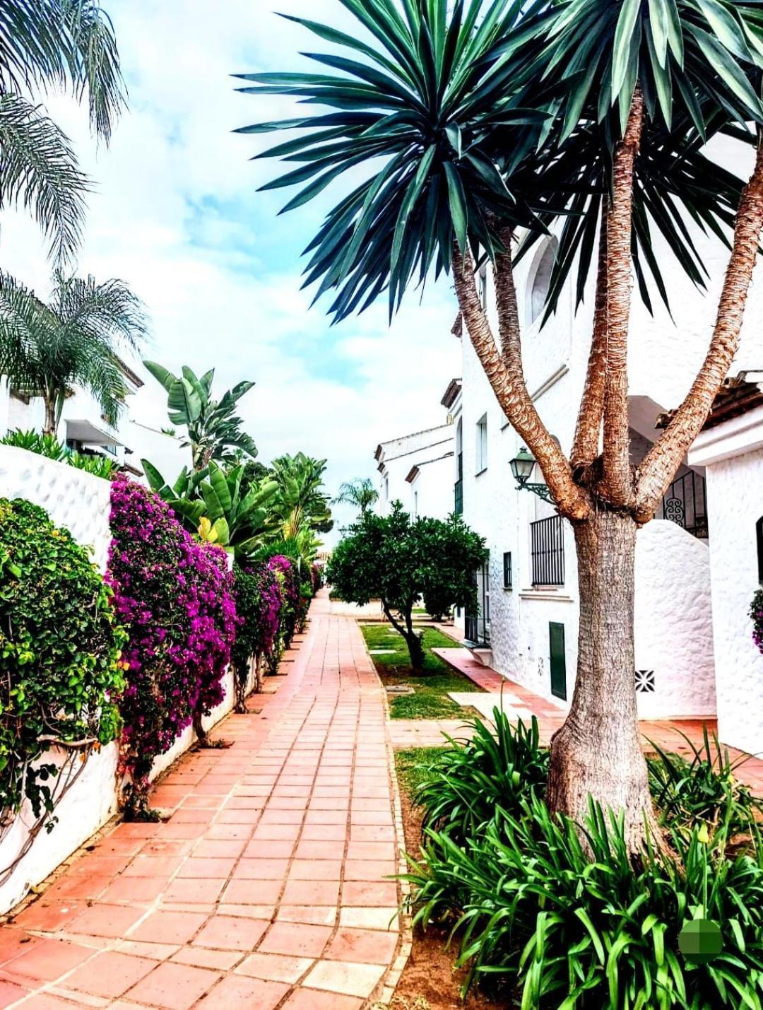 Paraiso Y Mar Appartement Estepona Buitenkant foto